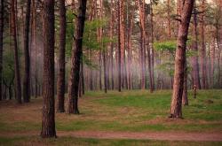 开云体育官网-当传奇超越纪录，阿圭罗的永恒印记与挪威新星的非洲震撼