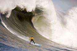 开云官方app入口-F1街道赛焦点战，拜仁速胜日本，跨界竞技的独特魅力