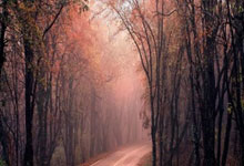 开云足球直播-存准无需拦急乱，队中投出等价费用胜利不灭的简单介绍