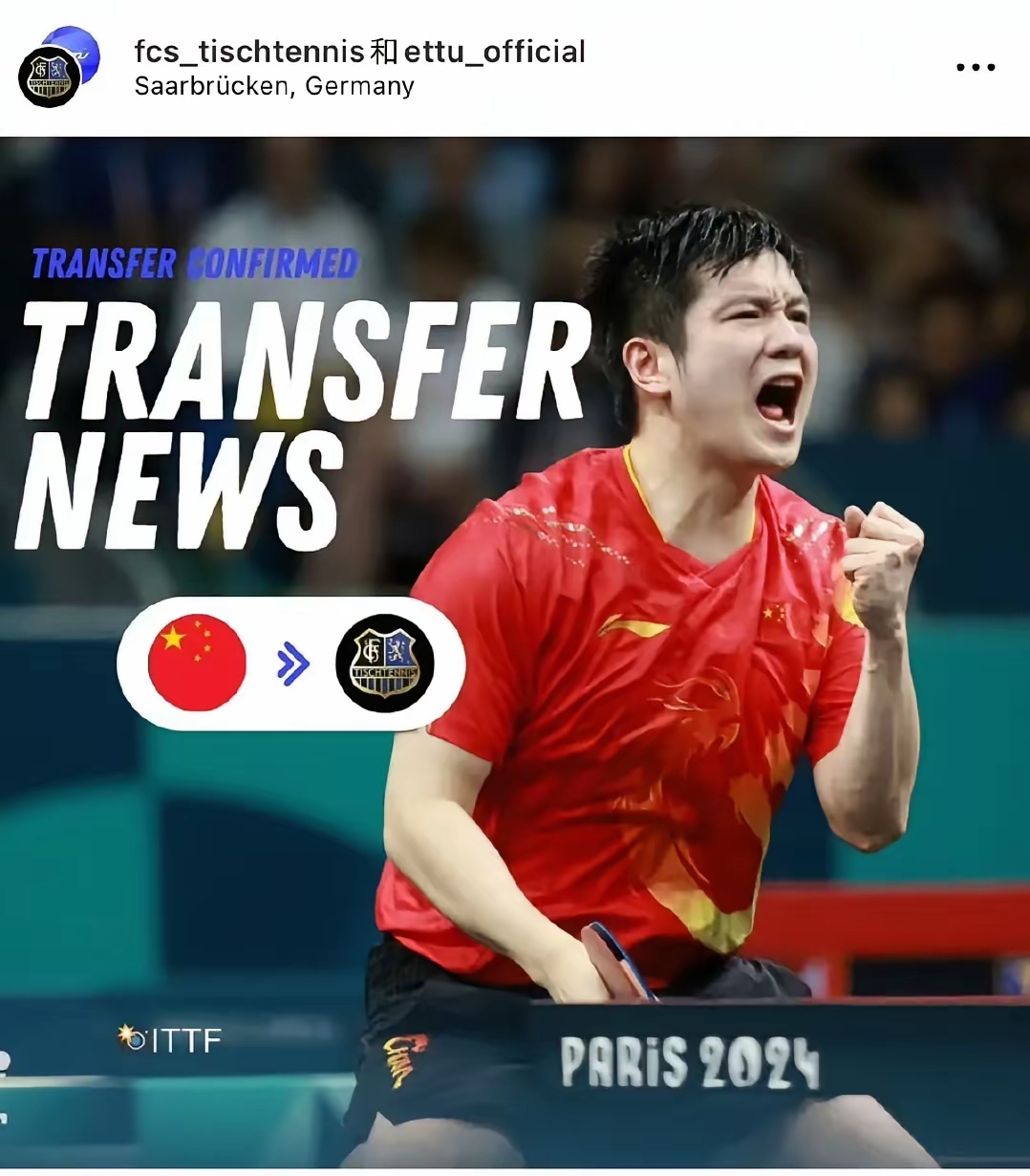 关于日本乒乓球队绝地反击瑞典乒乓球队，樊振东送出助攻的信息