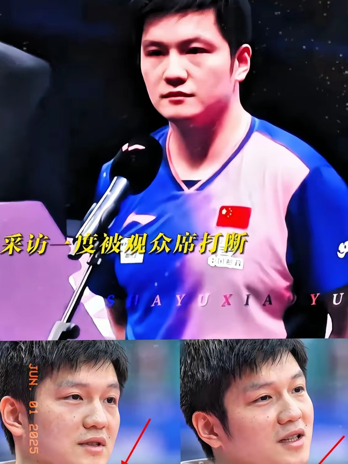 德国乒乓球队碾压日本乒乓球队，樊振东送出助攻的简单介绍