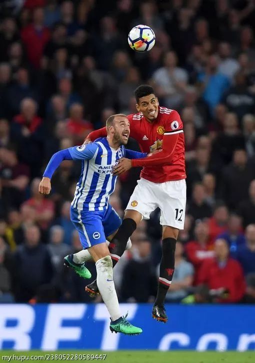 关于基辅迪纳摩客场不敌，吞下失败苦果的信息