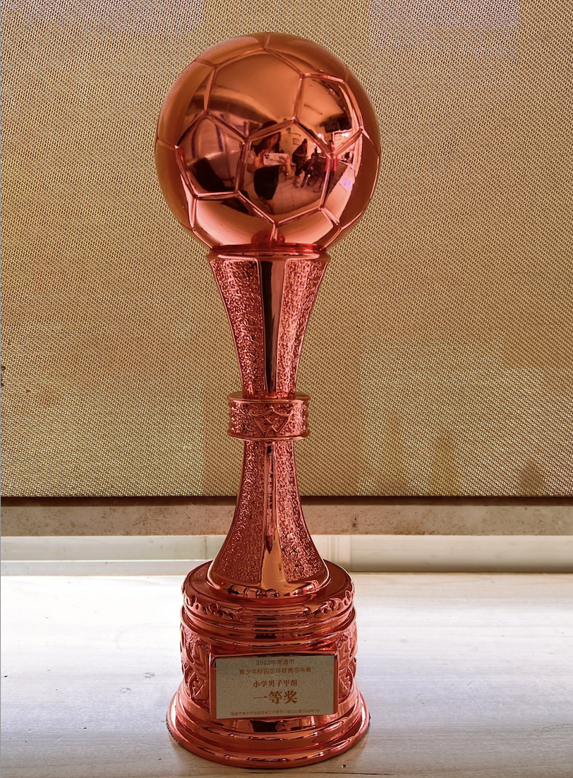 智利队在外籍联赛中佳绩斐然