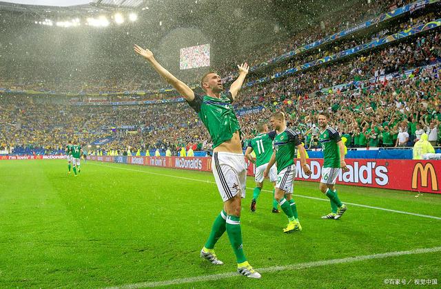 爱尔兰击败冰岛获得足球胜利