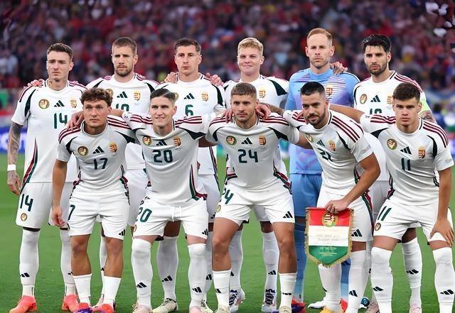 欧预赛关键时刻球队换上新援，战力提升