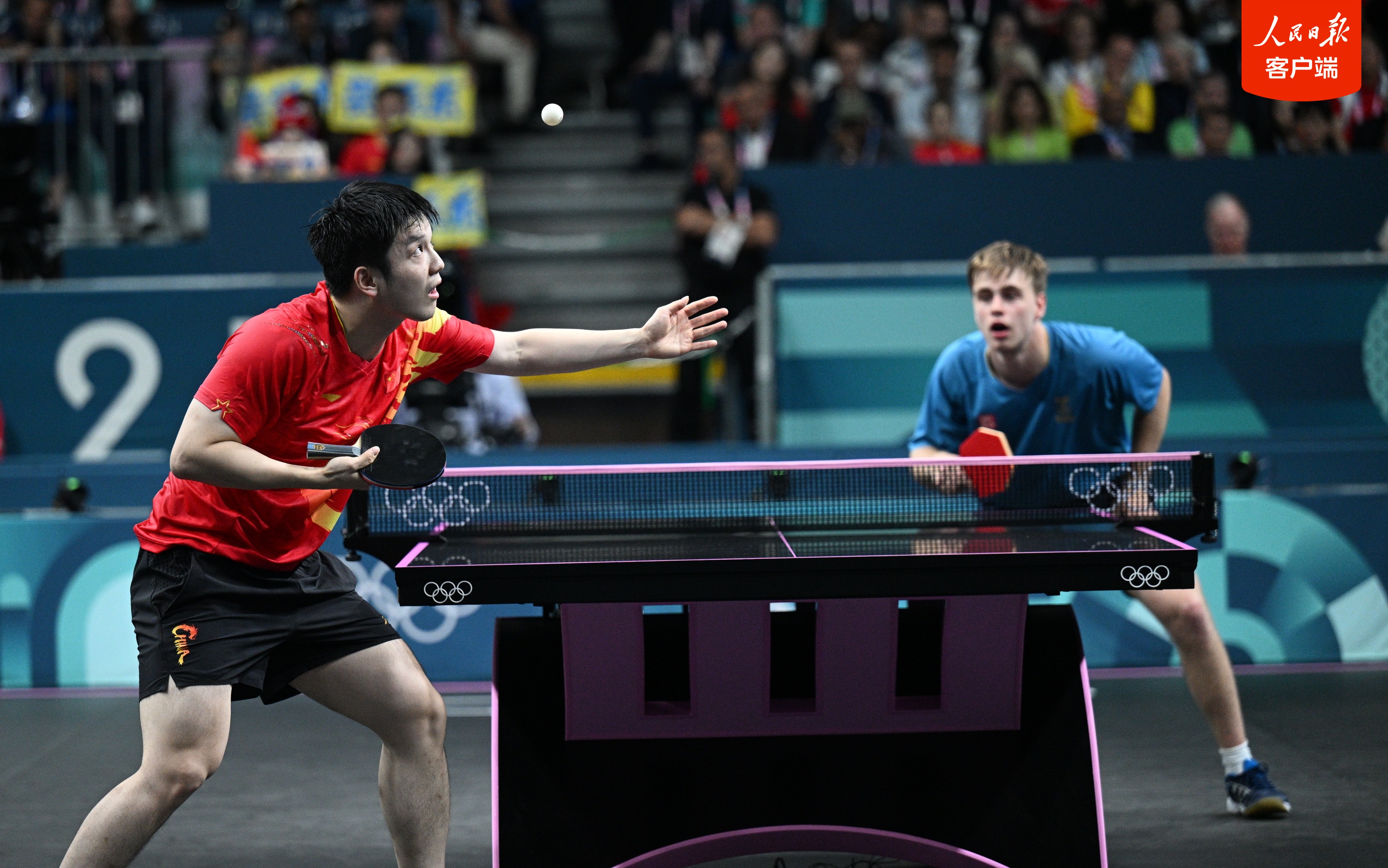 关于法国乒乓球队横扫德国乒乓球队，樊振东高光表现的信息