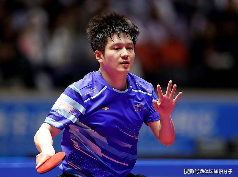 关于法国乒乓球队横扫奥地利乒乓球队，樊振东完成帽子戏法的信息