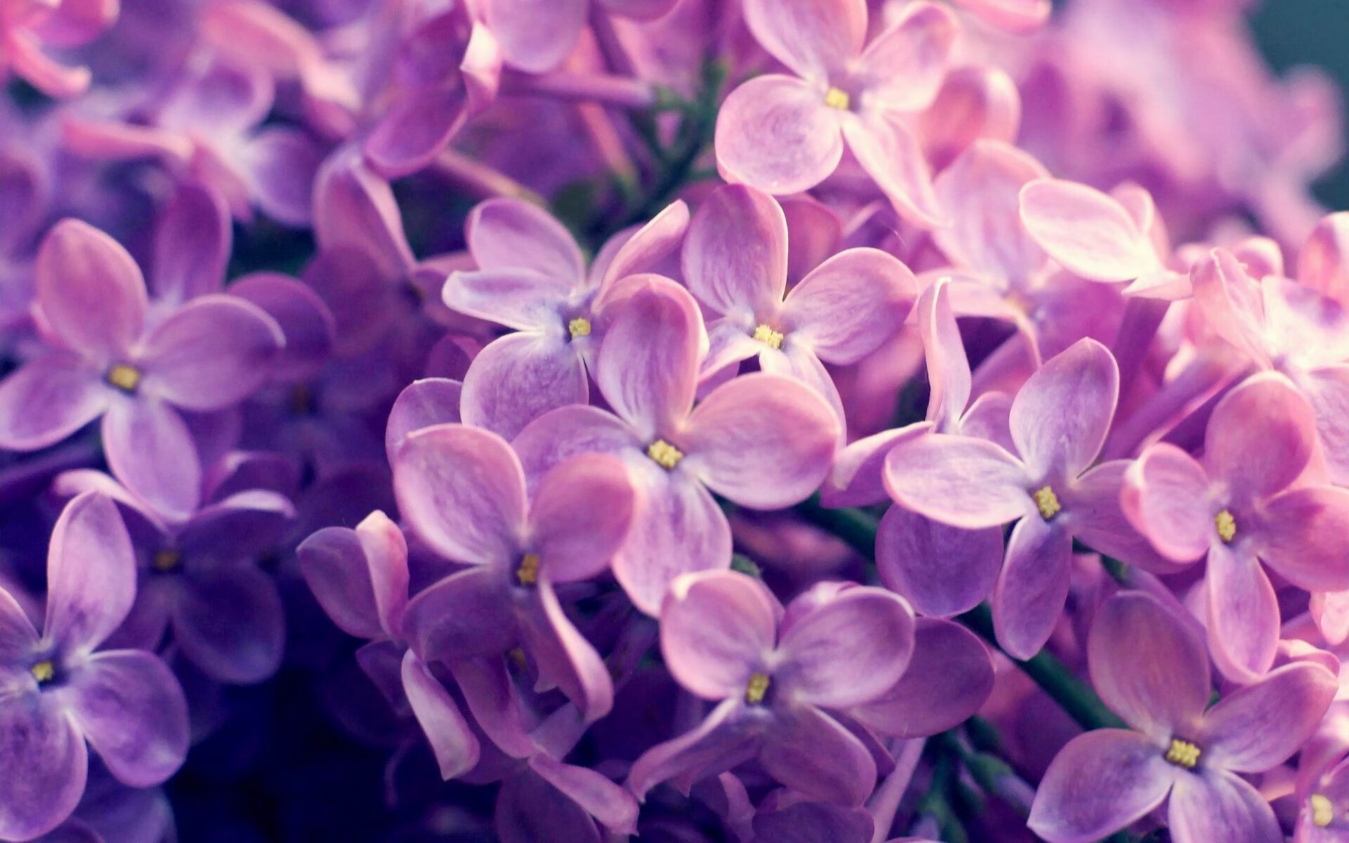 舞台越大，他越强，杜兰特式统治力与北京队的一波流启示