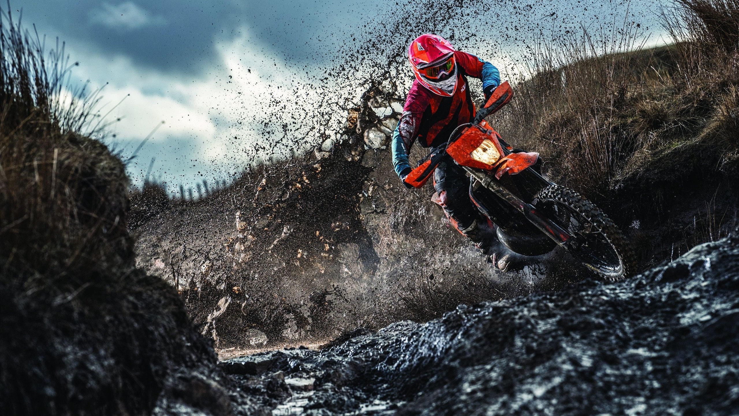 西决生死战焦点战,猛龙拿下尼克斯